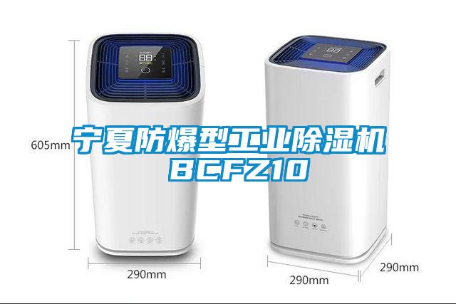 寧夏防爆型工業(yè)除濕機(jī) BCFZ10