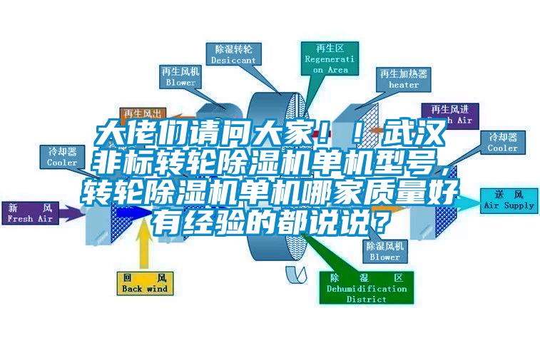 大佬們請問大家??！武漢非標轉輪除濕機單機型號，轉輪除濕機單機哪家質量好有經驗的都說說？