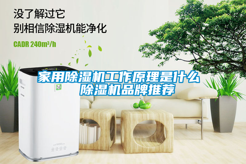 家用除濕機工作原理是什么  除濕機品牌推薦