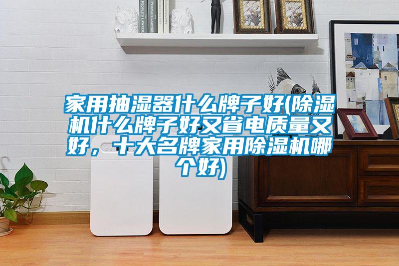 家用抽濕器什么牌子好(除濕機(jī)什么牌子好又省電質(zhì)量又好，十大名牌家用除濕機(jī)哪個(gè)好)