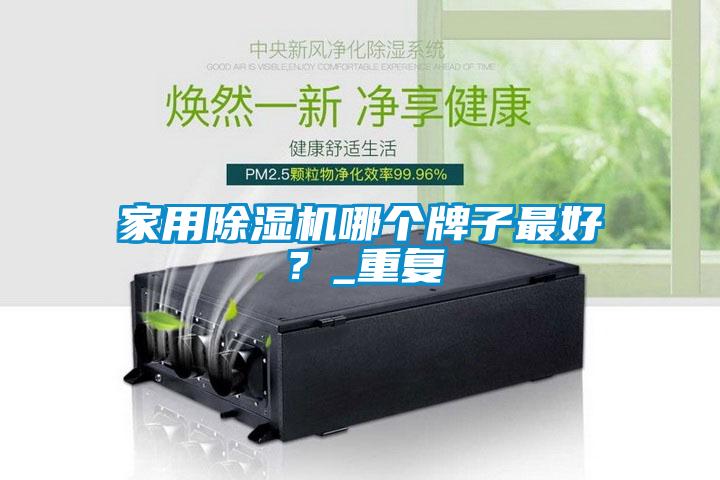 家用除濕機哪個牌子最好？_重復