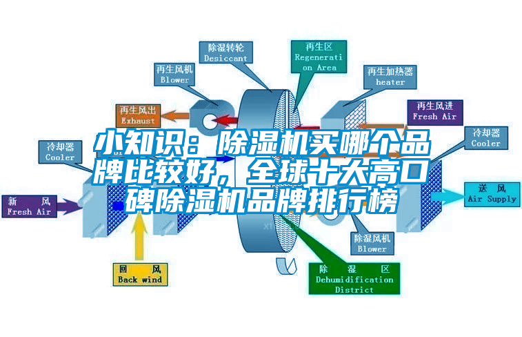 小知識(shí)：除濕機(jī)買哪個(gè)品牌比較好，全球十大高口碑除濕機(jī)品牌排行榜