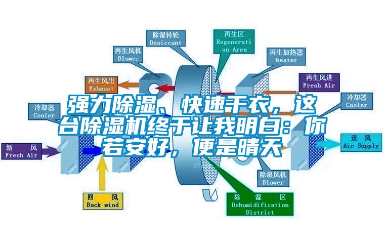 強(qiáng)力除濕、快速干衣，這臺(tái)除濕機(jī)終于讓我明白：你若安好，便是晴天