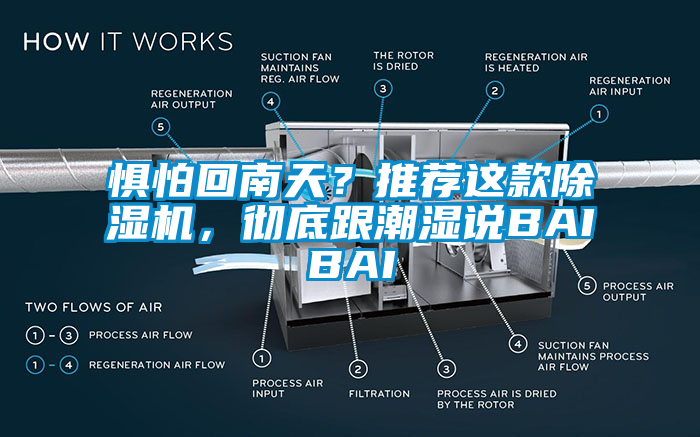 懼怕回南天？推薦這款除濕機(jī)，徹底跟潮濕說(shuō)BAIBAI