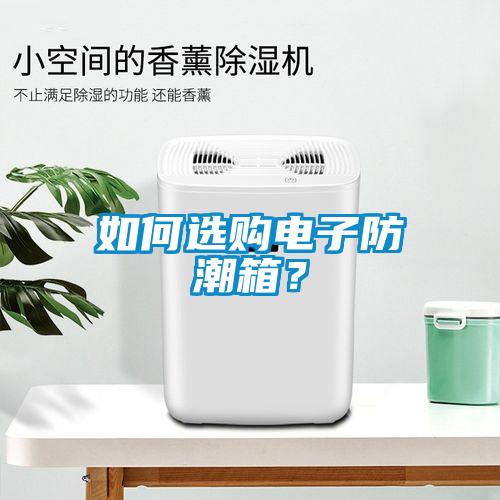 如何選購電子防潮箱？