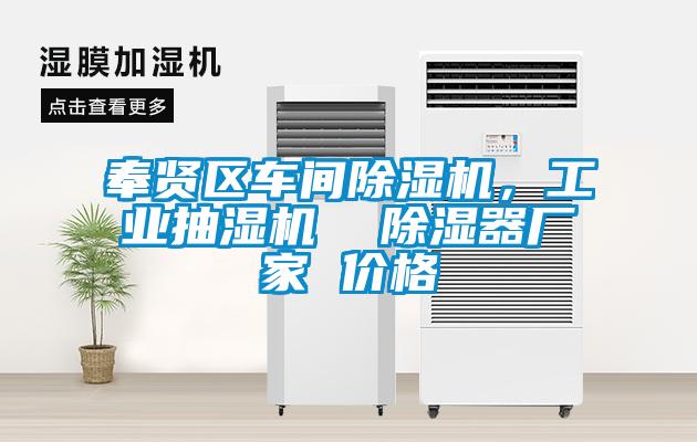 奉賢區(qū)車間除濕機，工業(yè)抽濕機  除濕器廠家 價格