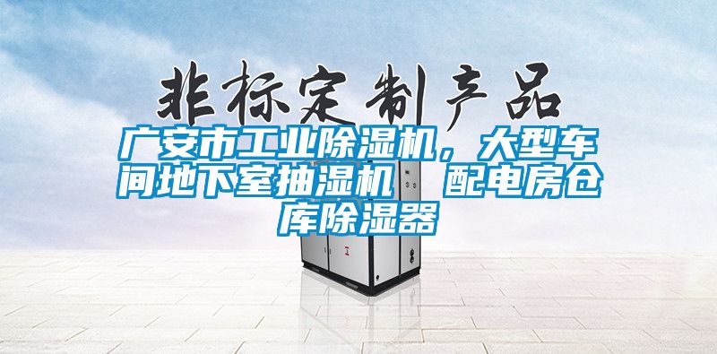 廣安市工業(yè)除濕機，大型車間地下室抽濕機  配電房倉庫除濕器