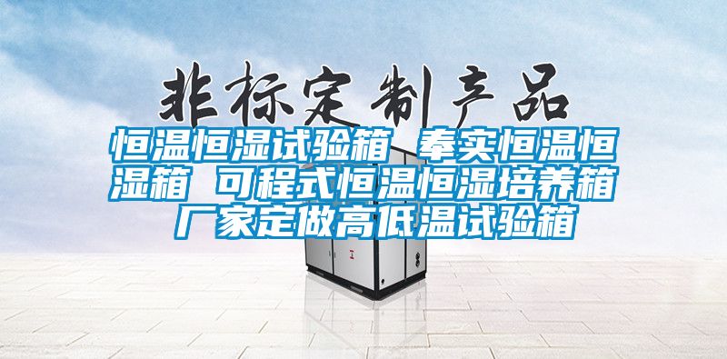 恒溫恒濕試驗(yàn)箱 奉實(shí)恒溫恒濕箱 可程式恒溫恒濕培養(yǎng)箱 廠家定做高低溫試驗(yàn)箱