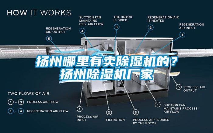 揚州哪里有賣除濕機的？揚州除濕機廠家