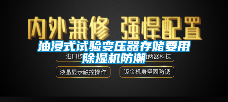 油浸式試驗變壓器存儲要用除濕機防潮