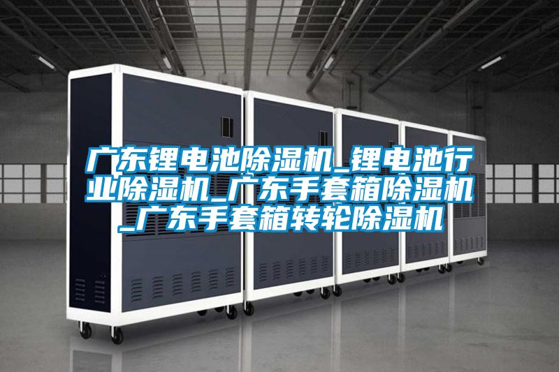 廣東鋰電池除濕機_鋰電池行業(yè)除濕機_廣東手套箱除濕機_廣東手套箱轉輪除濕機