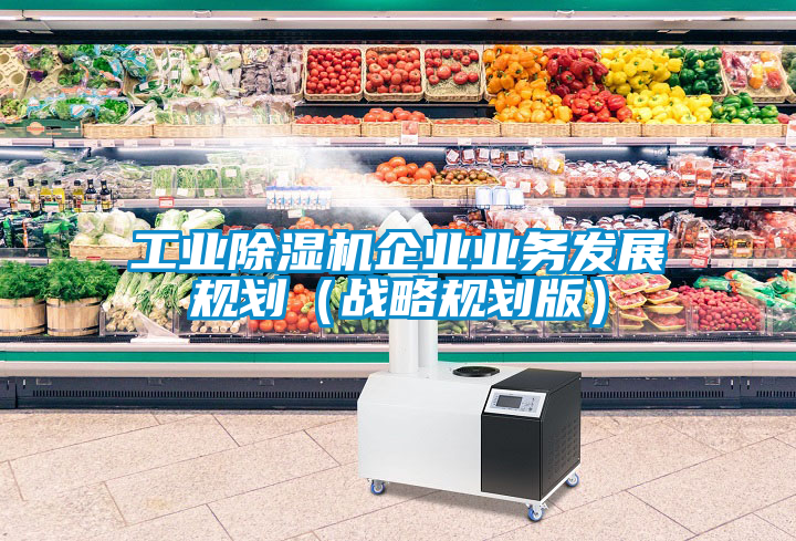 工業(yè)除濕機企業(yè)業(yè)務(wù)發(fā)展規(guī)劃（戰(zhàn)略規(guī)劃版）