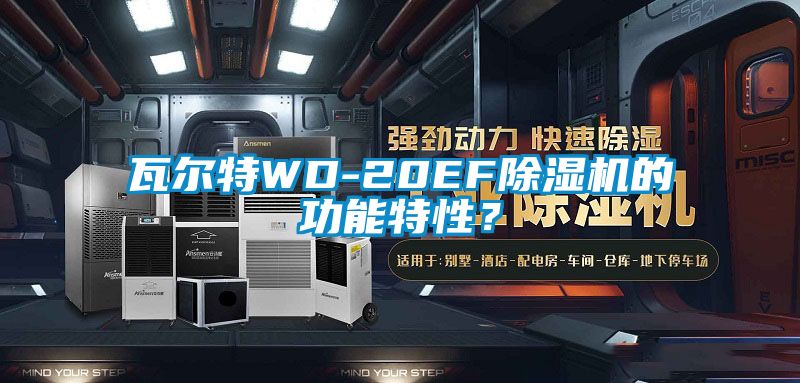 瓦爾特WD-20EF除濕機(jī)的功能特性？