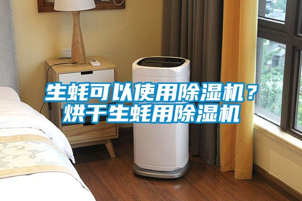 生蠔可以使用除濕機？烘干生蠔用除濕機