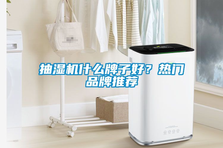 抽濕機什么牌子好？熱門品牌推薦