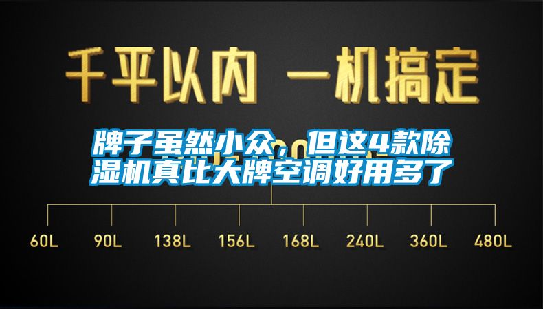 牌子雖然小眾，但這4款除濕機真比大牌空調(diào)好用多了