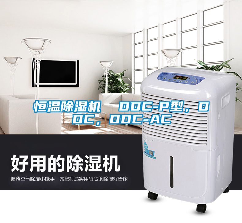 恒溫除濕機(jī)  DDC-P型，DDC，DDC-AC