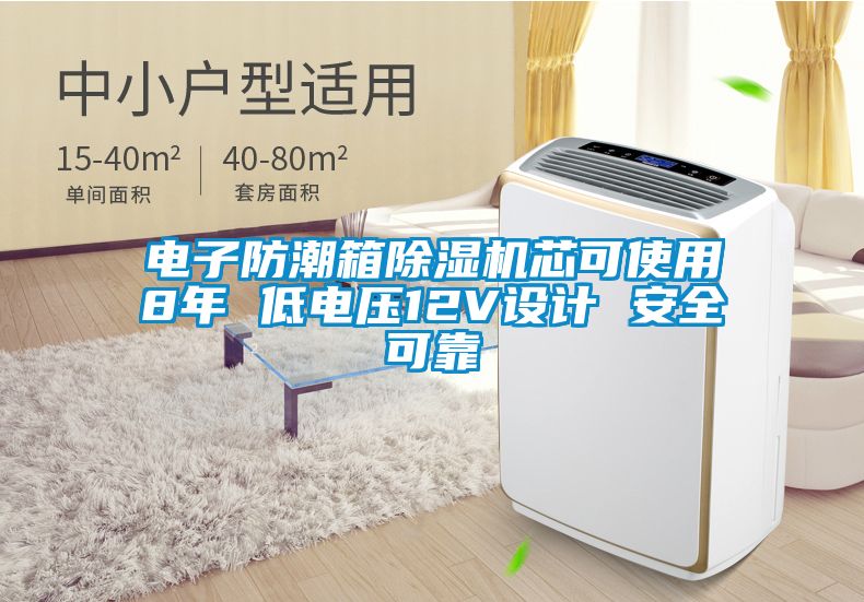 電子防潮箱除濕機(jī)芯可使用8年 低電壓12V設(shè)計 安全可靠