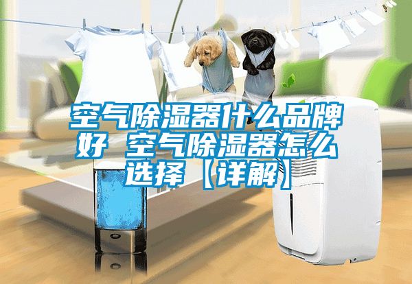 空氣除濕器什么品牌好 空氣除濕器怎么選擇【詳解】