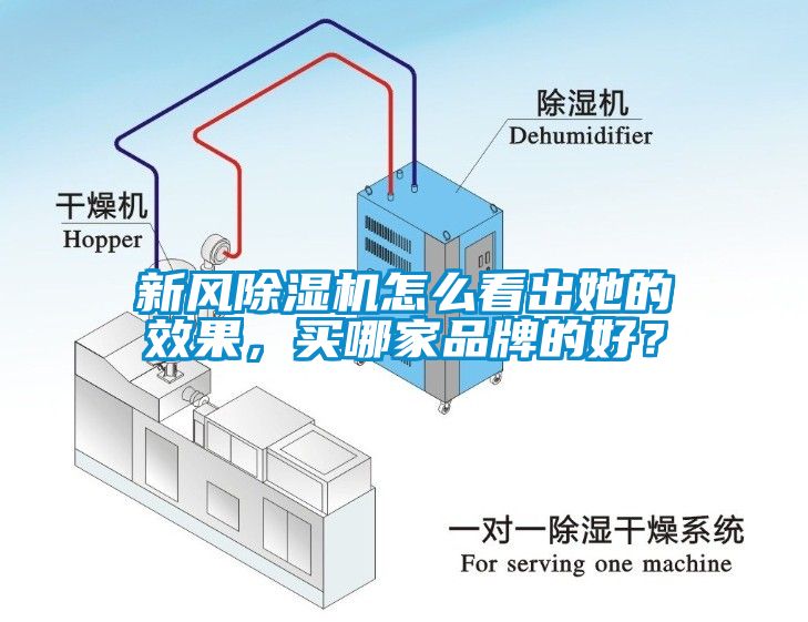 新風(fēng)除濕機(jī)怎么看出她的效果，買哪家品牌的好？