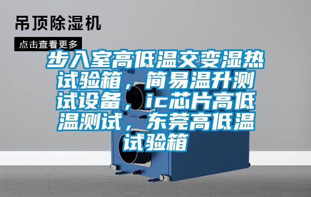 步入室高低溫交變濕熱試驗箱，簡易溫升測試設(shè)備，ic芯片高低溫測試，東莞高低溫試驗箱