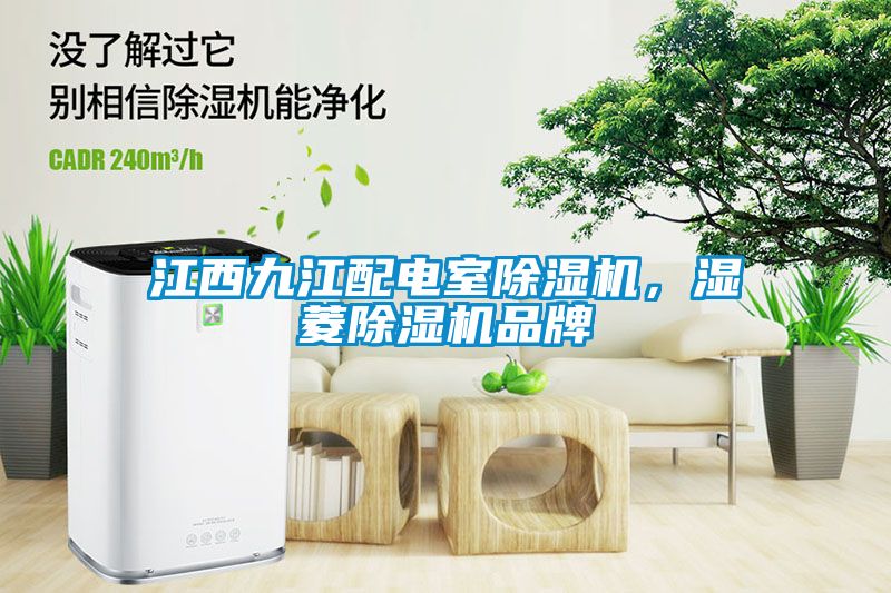 江西九江配電室除濕機(jī)，濕菱除濕機(jī)品牌