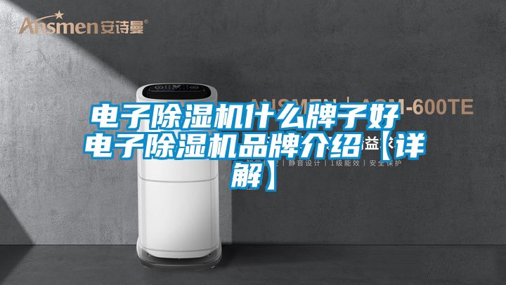 電子除濕機什么牌子好 電子除濕機品牌介紹【詳解】