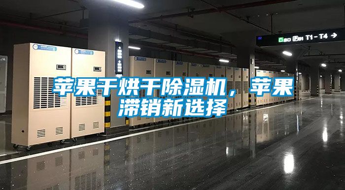 蘋果干烘干除濕機，蘋果滯銷新選擇