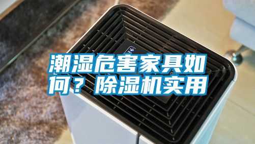 潮濕危害家具如何？除濕機實用