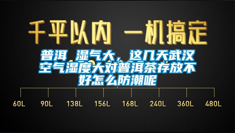 普洱 濕氣大，這幾天武漢空氣濕度大對普洱茶存放不好怎么防潮呢