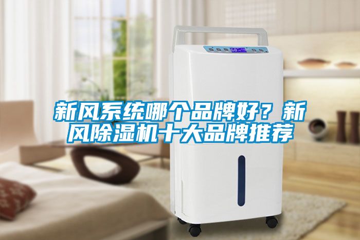 新風(fēng)系統(tǒng)哪個品牌好？新風(fēng)除濕機(jī)十大品牌推薦