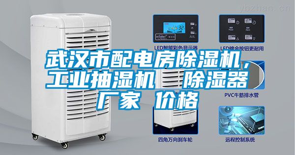 武漢市配電房除濕機(jī)，工業(yè)抽濕機(jī)  除濕器廠家 價(jià)格