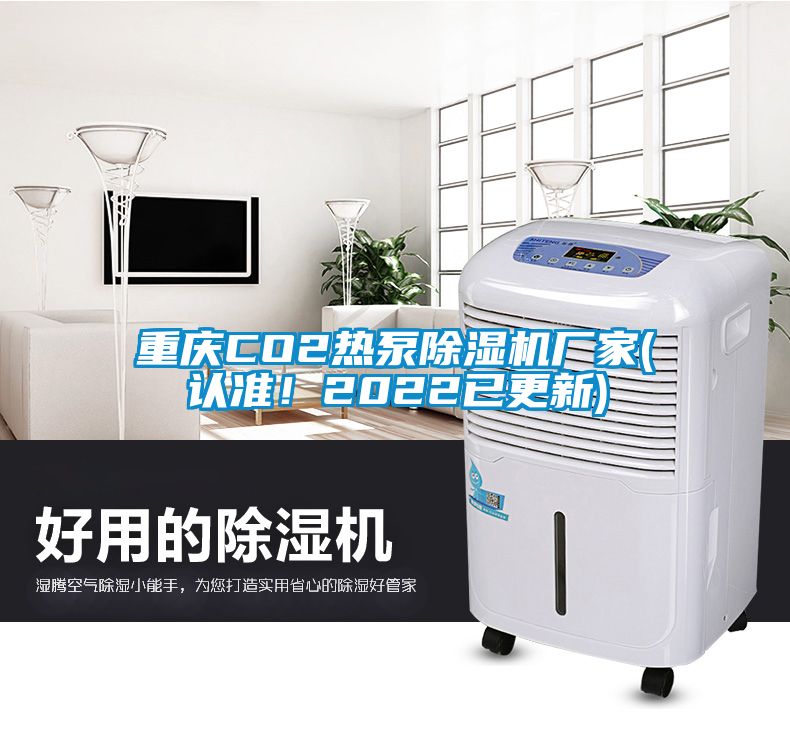 重慶CO2熱泵除濕機(jī)廠家(認(rèn)準(zhǔn)！2022已更新)