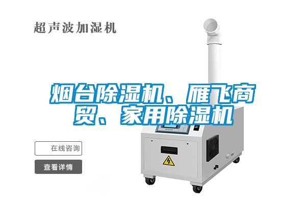 煙臺除濕機、雁飛商貿(mào)、家用除濕機