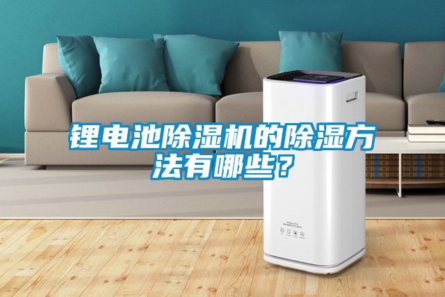 鋰電池除濕機(jī)的除濕方法有哪些？