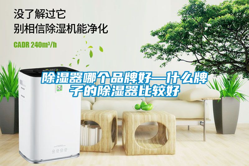 除濕器哪個(gè)品牌好—什么牌子的除濕器比較好