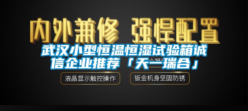 武漢小型恒溫恒濕試驗箱誠信企業(yè)推薦「天一瑞合」