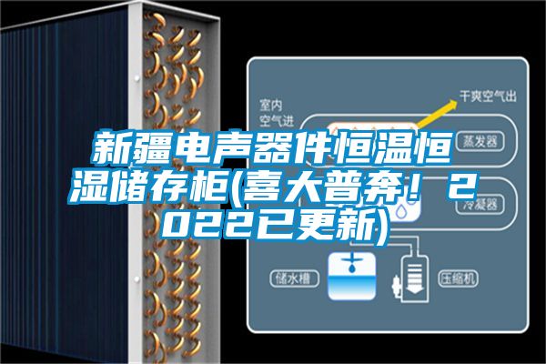 新疆電聲器件恒溫恒濕儲(chǔ)存柜(喜大普奔！2022已更新)