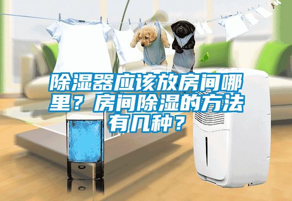 除濕器應(yīng)該放房間哪里？房間除濕的方法有幾種？