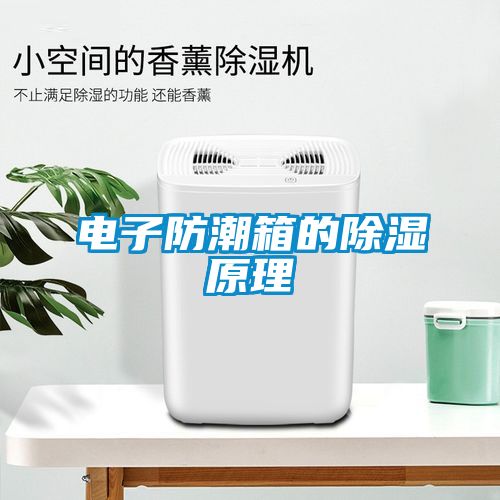 電子防潮箱的除濕原理