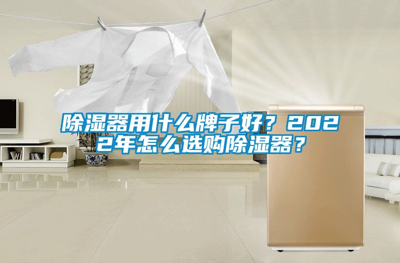 除濕器用什么牌子好？2022年怎么選購除濕器？