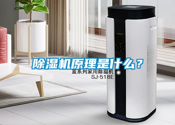 除濕機(jī)原理是什么？