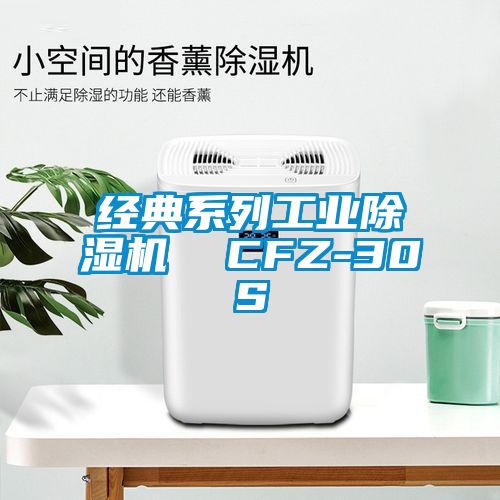 經(jīng)典系列工業(yè)除濕機  CFZ-30S