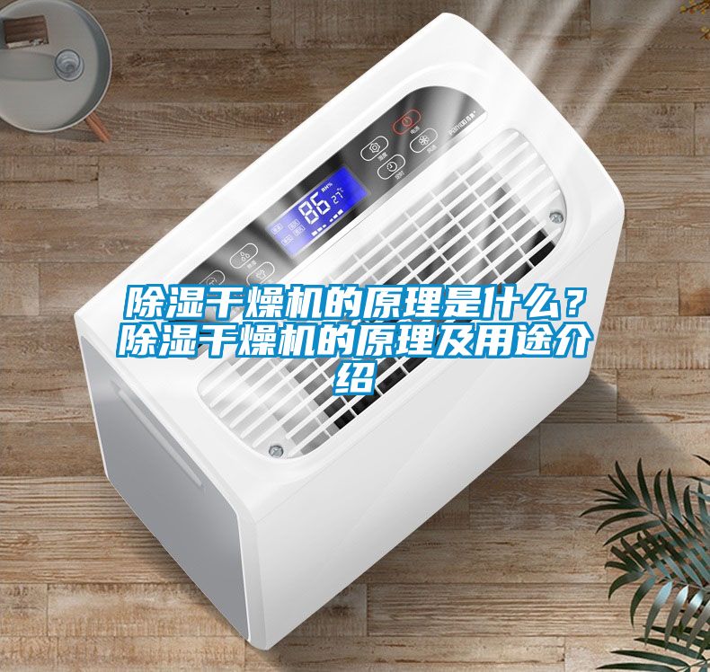 除濕干燥機的原理是什么？除濕干燥機的原理及用途介紹