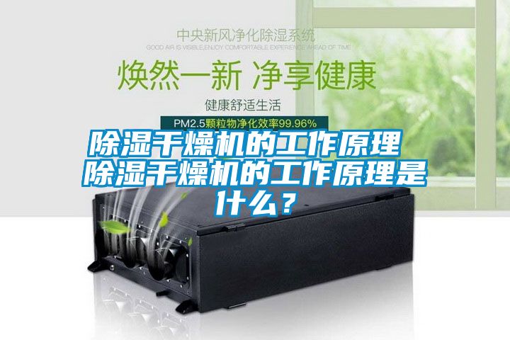 除濕干燥機的工作原理 除濕干燥機的工作原理是什么？