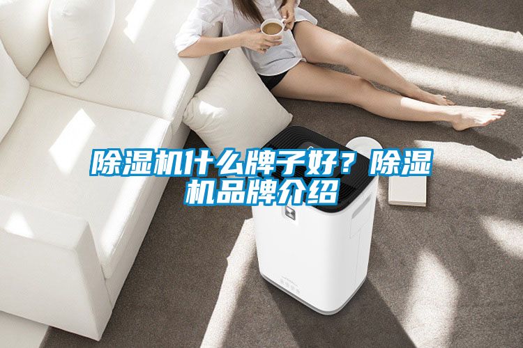 除濕機(jī)什么牌子好？除濕機(jī)品牌介紹