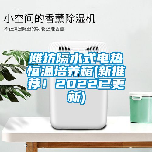 濰坊隔水式電熱恒溫培養(yǎng)箱(新推薦！2022已更新)