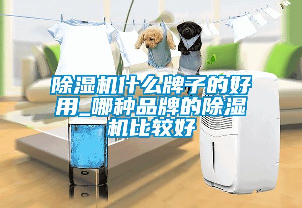 除濕機什么牌子的好用_哪種品牌的除濕機比較好