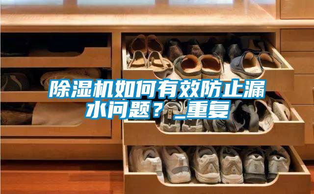 除濕機如何有效防止漏水問題？_重復(fù)