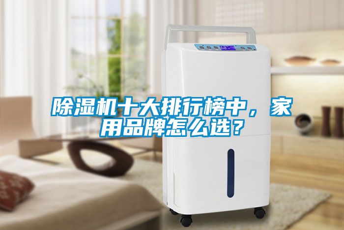 除濕機(jī)十大排行榜中，家用品牌怎么選？